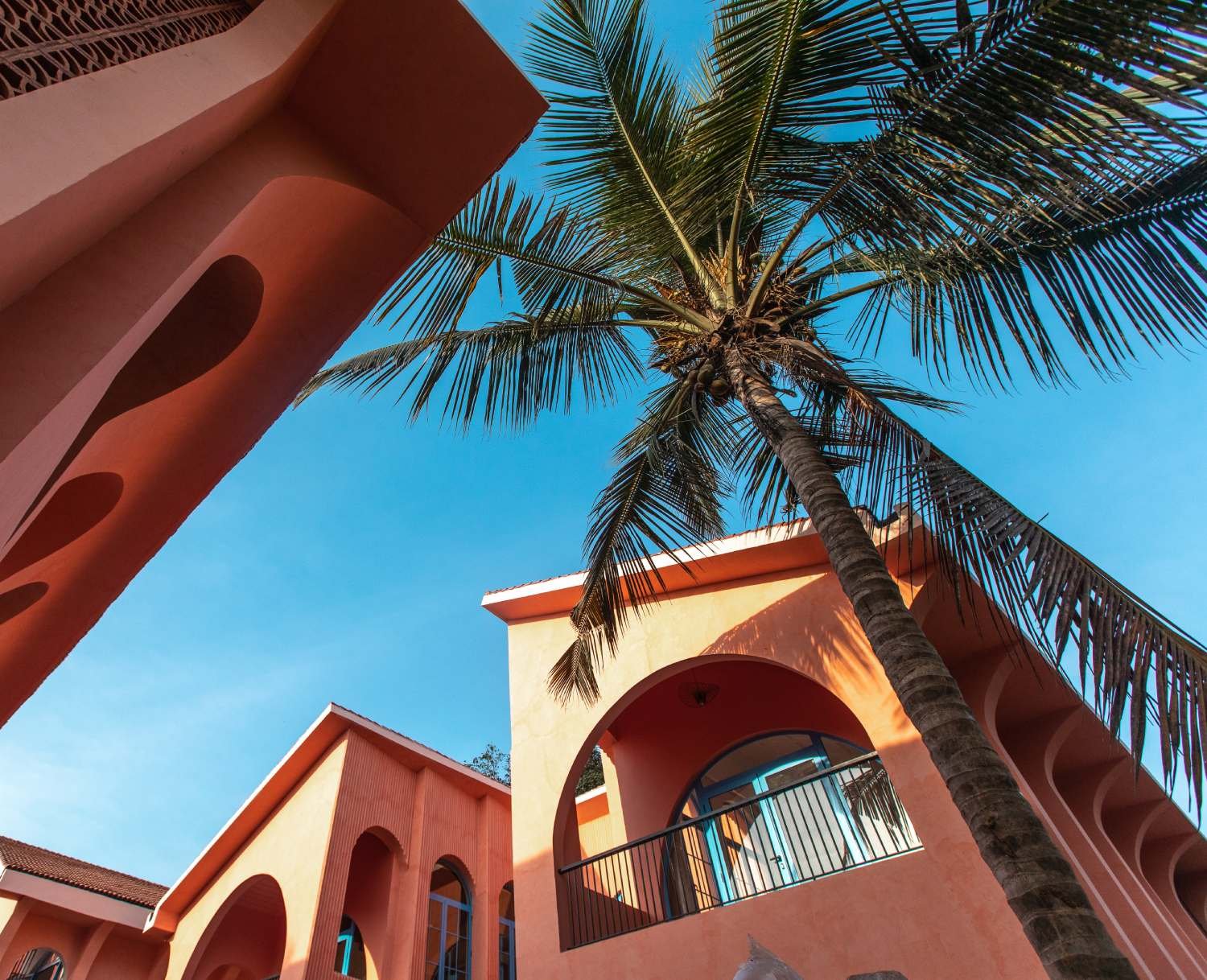 About Casa Amore